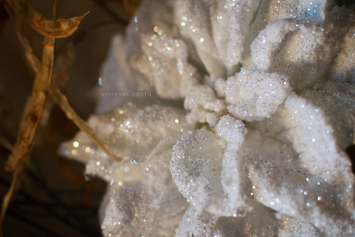 Holiday Decor